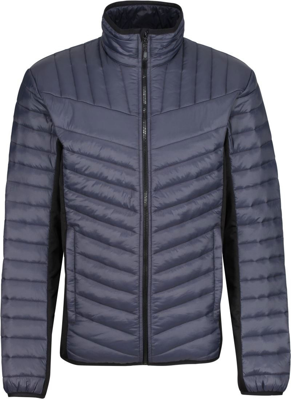 seal grey/ black