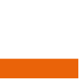 white / fluorescent orange