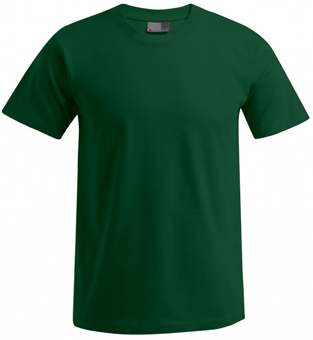 3099-forest forest
