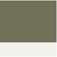 olive / nature