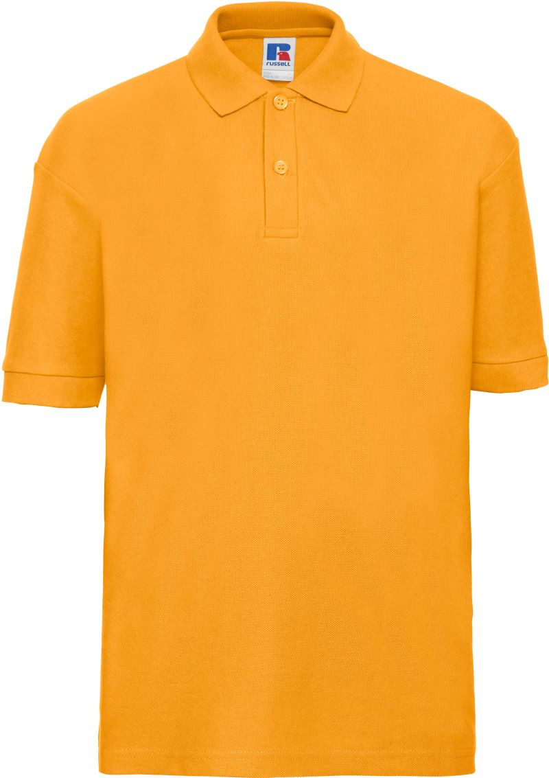 539B-puregold1 pure gold