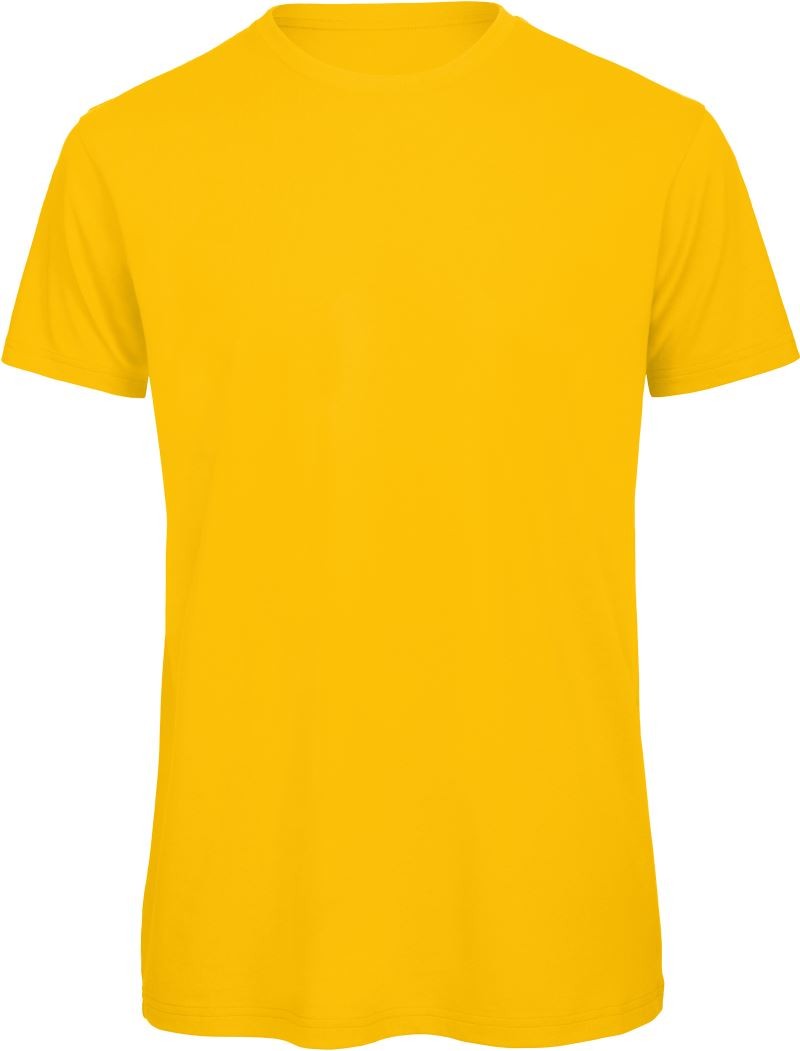B-C-TM42-gold gold