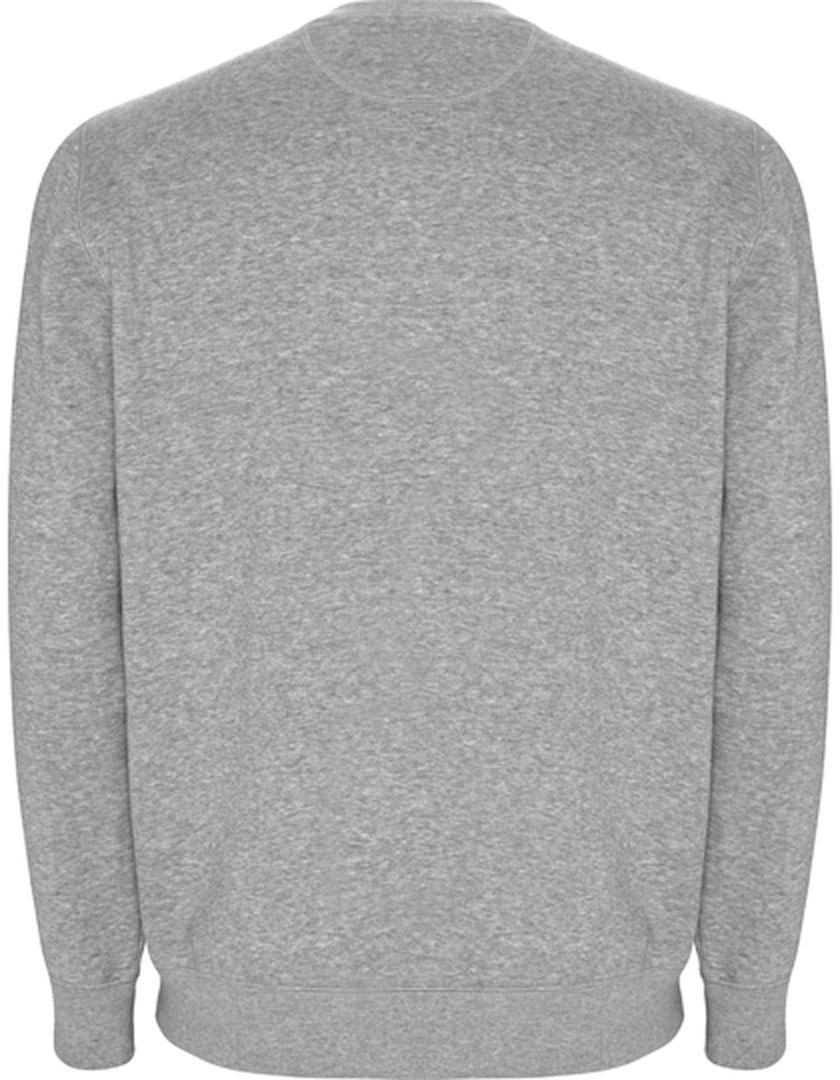 2045805IMRq8LTGeLDVh back