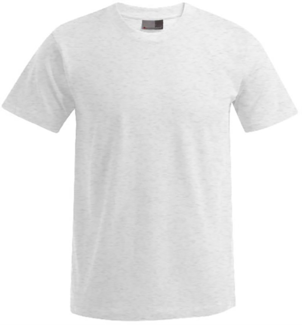 3099-ash1 ash
