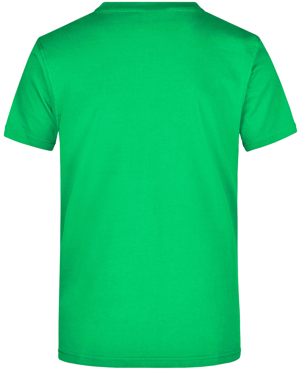 JN002-ferngreen-hinten fern green back