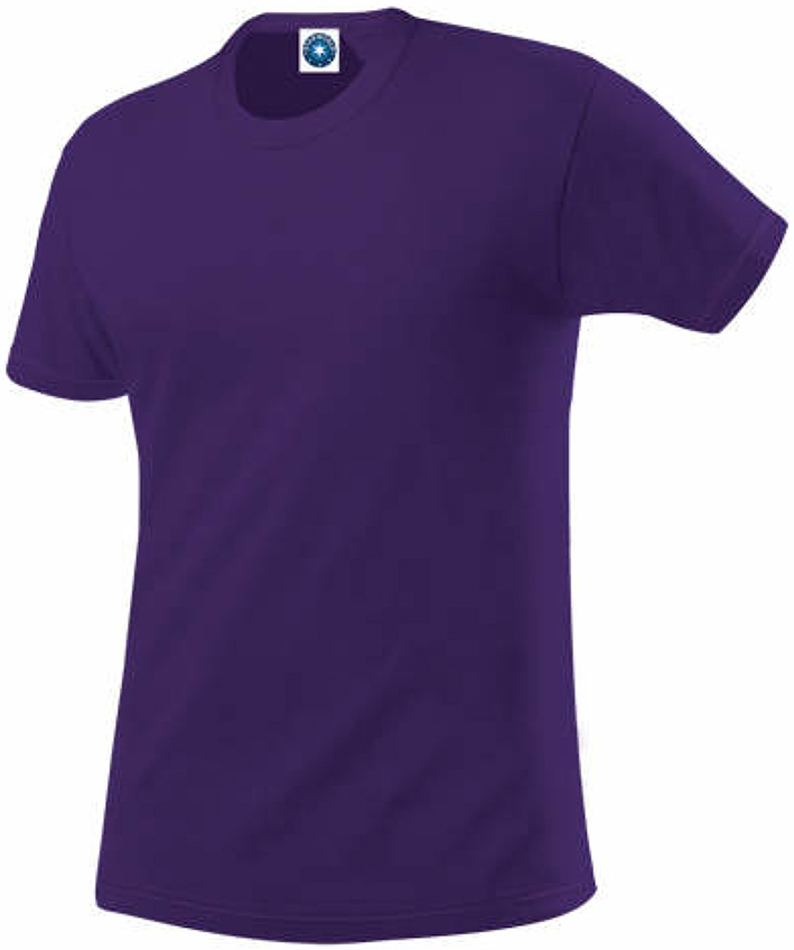 SWGL1-purple purple
