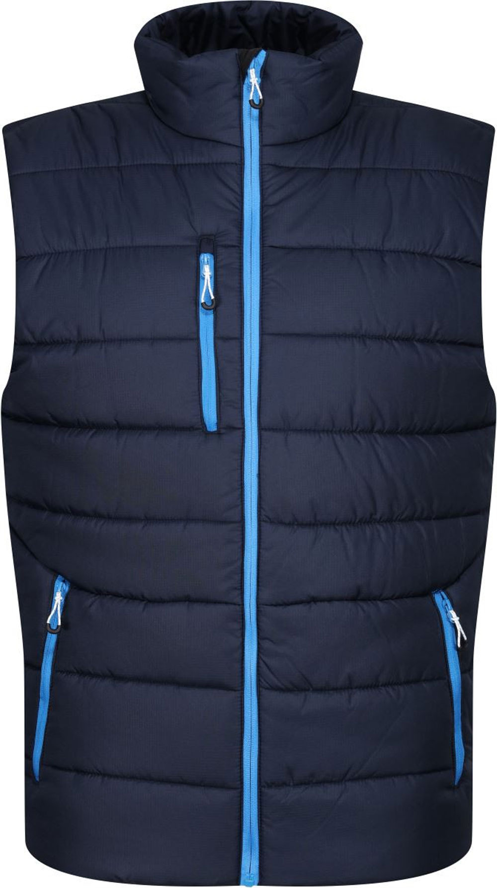 navy/ french blue