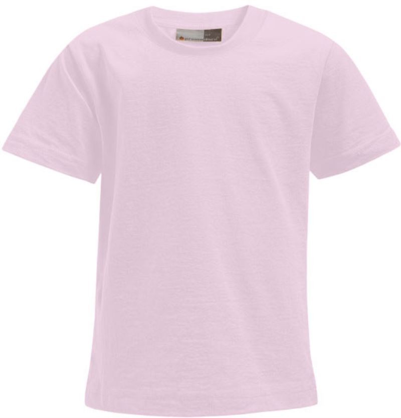 Pro399-chalkpink chalk pink