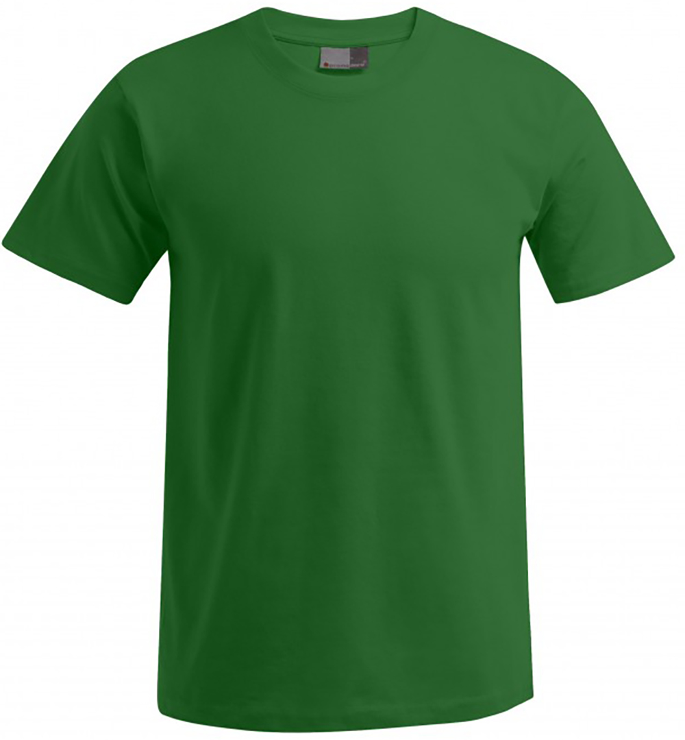 3099-kellygreen kelly green