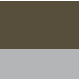 khaki/ light grey