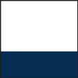white/ navy